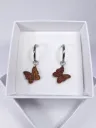 charms papillons