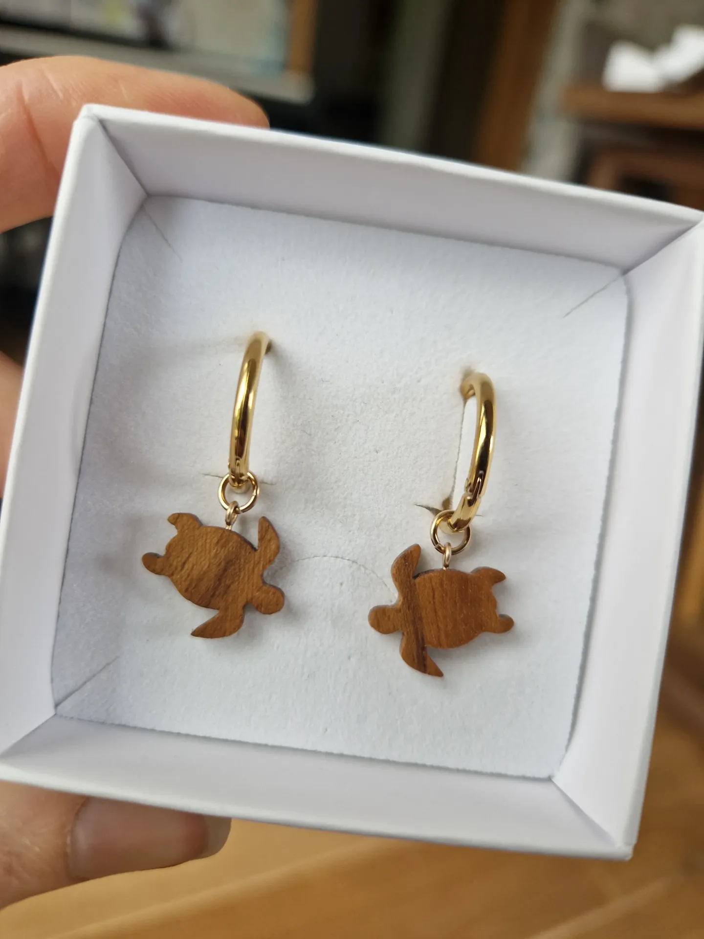 charms tortues