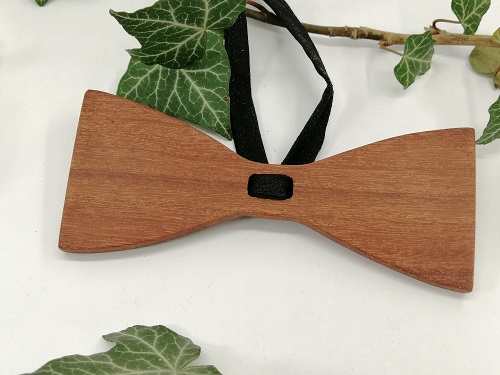 Noeud-papillon adulte 11 cm