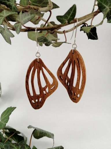 [JUPR086] Ailes de papillon afzélia